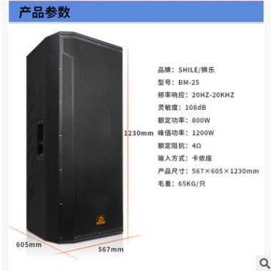 狮乐BX-404专业会议室投影工程音响 4.5英寸壁挂式全频喇叭音箱图2