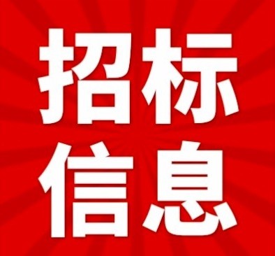 安徽省地质博物馆安全技术防范系统及多媒体设备维保服务竞争性磋商公告图1